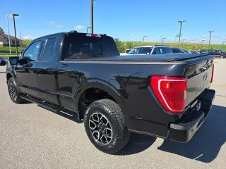 Ford F-150 2023 4x4 XLT 4dr SuperCab 6.5 ft. SB