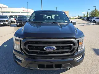 Ford F-150 2023 4x4 XLT 4dr SuperCab 6.5 ft. SB