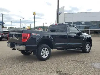 Ford F-150 2021 4x4 XLT 2dr Regular Cab 6.5 ft. SB