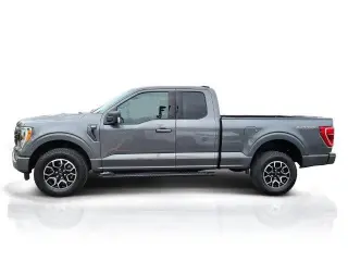 Ford F-150 2023 4x4 XLT 4dr SuperCab 6.5 ft. SB
