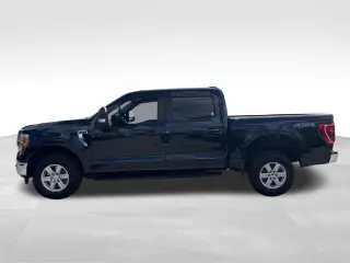 Ford F-150 2022 4x4 XLT 4dr SuperCrew 5.5 ft. SB