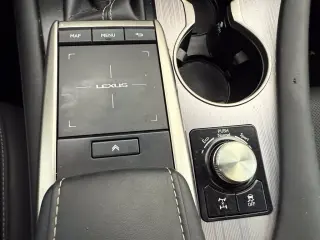 2021 Lexus RX