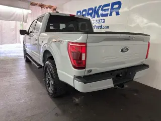 Ford F-150 2023 4x4 XLT 4dr SuperCrew 5.5 ft. SB
