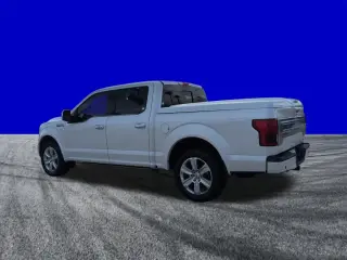 Ford F-150 2019 4x2 Platinum 4dr SuperCrew 5.5 ft. SB