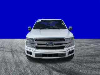 Ford F-150 2019 4x2 Platinum 4dr SuperCrew 5.5 ft. SB