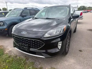 Ford Escape 2020 AWD SEL SUV de 4 puertas