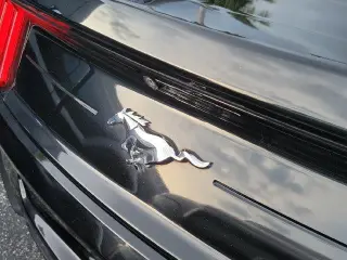 Ford Mustang 2022 EcoBoost Fastback 2 puertas