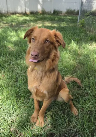 Weiser