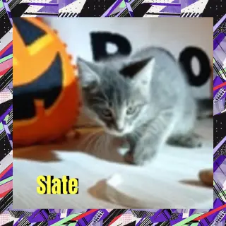 Slate