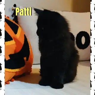 Patti