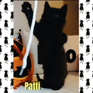 Patti