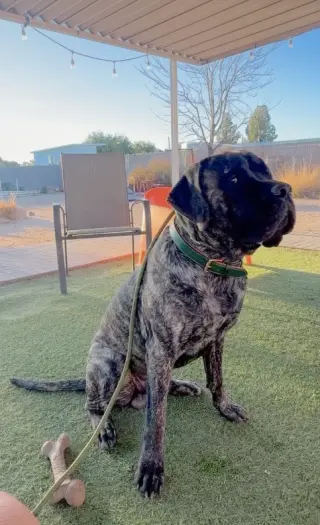 Benny