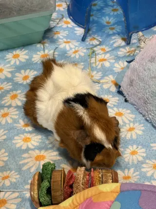 Baguette