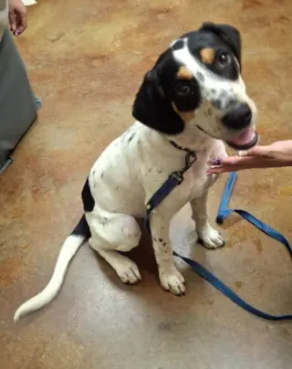 Tucker
