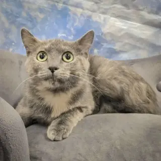 Stormy