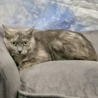 Stormy