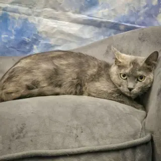 Stormy