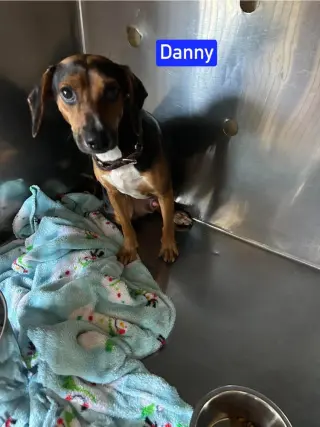 Sf Danny