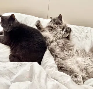 Alaska and Davey