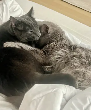 Alaska and Davey