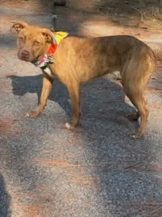 Maribel