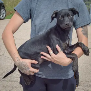 Skye