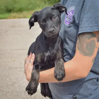 Skye