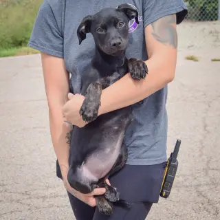 Skye