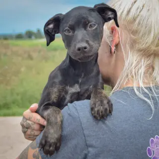 Skye