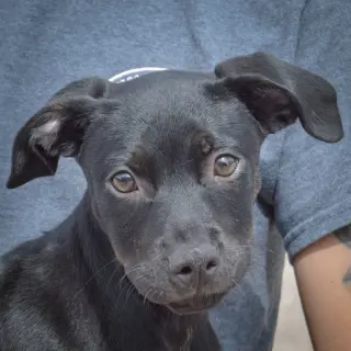 Skye
