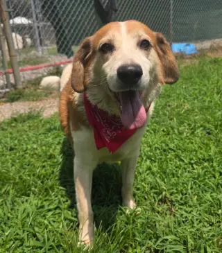Max