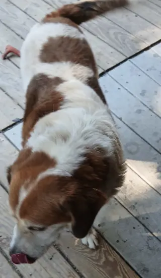 Max