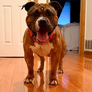 Winnie