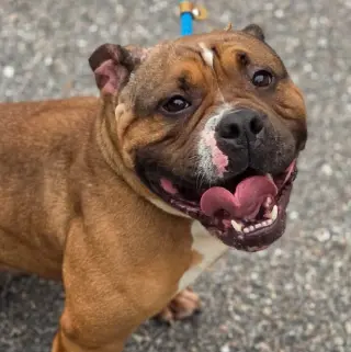 Winnie
