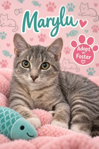 Marylu:  Foster Req. (FCID# 9/02/26-26 Trainer)