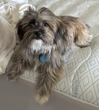 Jax