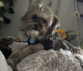 Jax