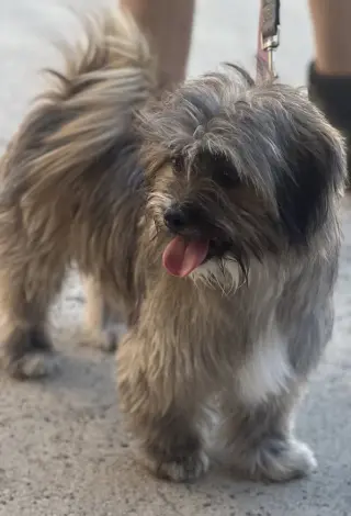 Jax