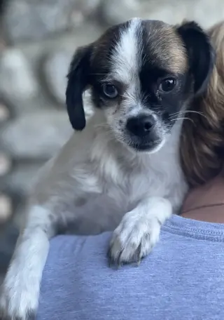 Buster