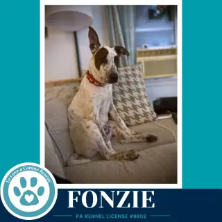 Fonzie (Speckled Six) 091226