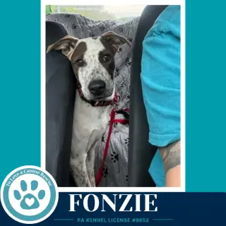 Fonzie (Speckled Six) 091226