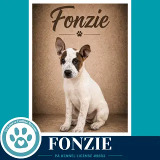 Fonzie (Speckled Six) 091226
