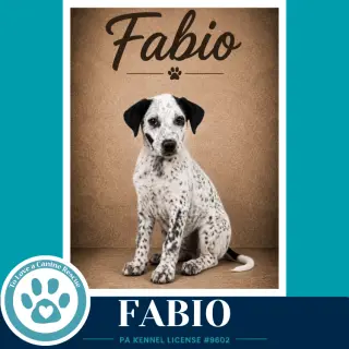 Fabio (Speckled Six) 091226