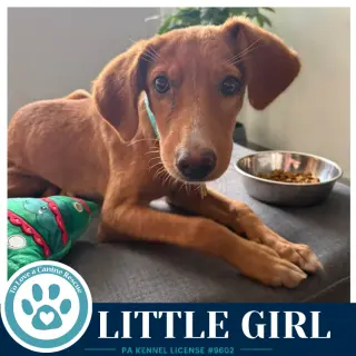 Little Girl 091226