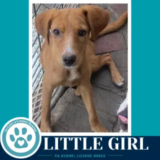 Little Girl 091226