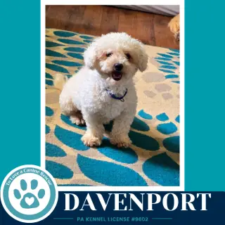 Davenport (The Davenports) 091226