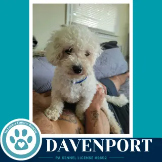 Davenport (The Davenports) 091226
