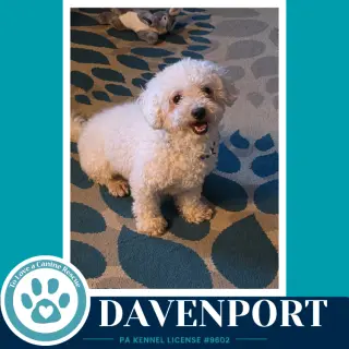 Davenport (The Davenports) 091226