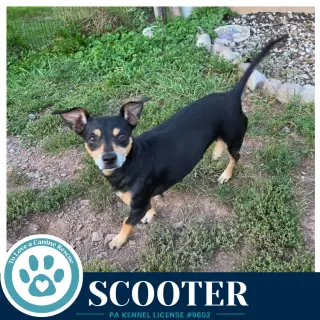 Scooter 091226