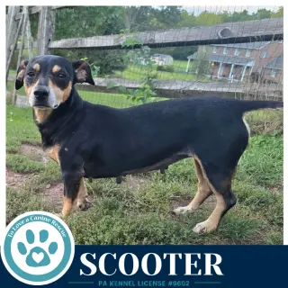 Scooter 091226
